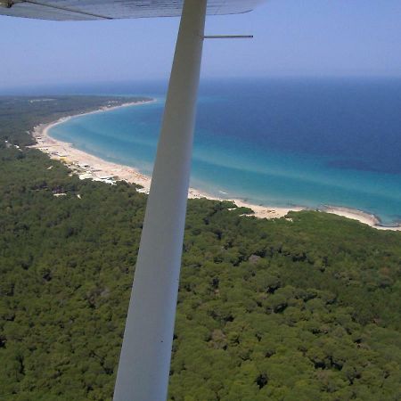 Linda Casa Vacanze Felline Kültér fotó